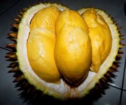 Durian Bokor