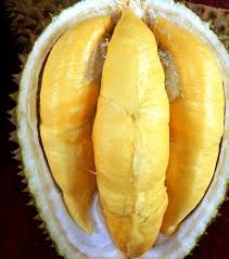 Durian Monthong