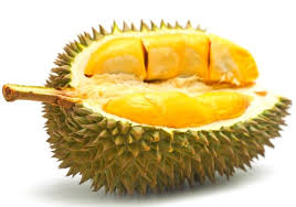 Jenis Durian Yang Paling Enak Dan Paling Disuka Banyak Orang